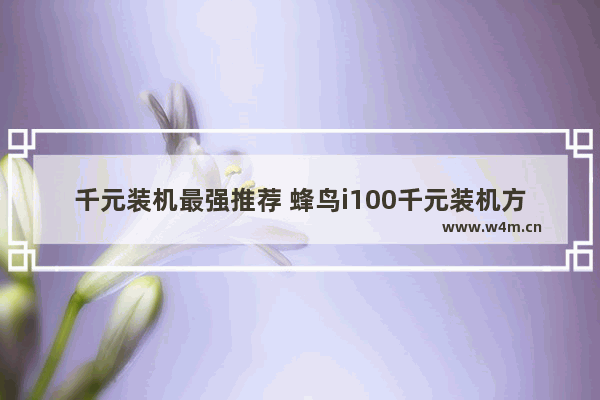 千元装机最强推荐 蜂鸟i100千元装机方案