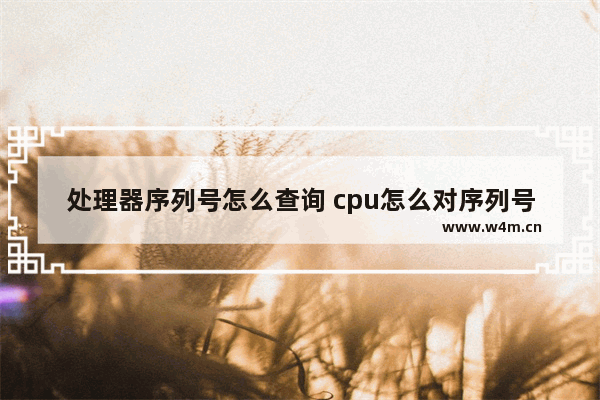 处理器序列号怎么查询 cpu怎么对序列号