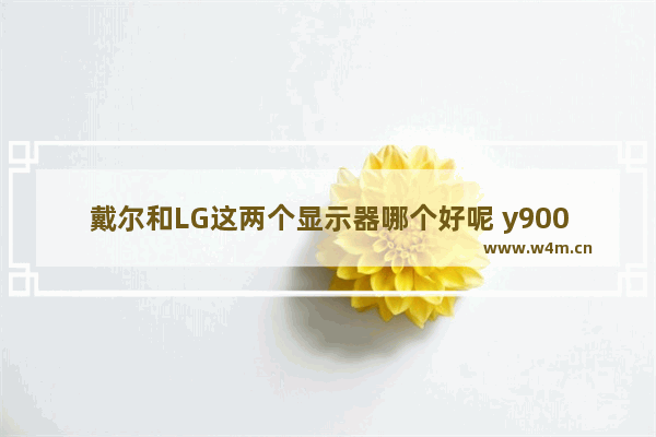 戴尔和LG这两个显示器哪个好呢 y9000p2022配什么显示器