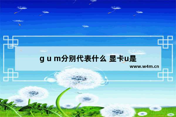 g u m分别代表什么 显卡u是