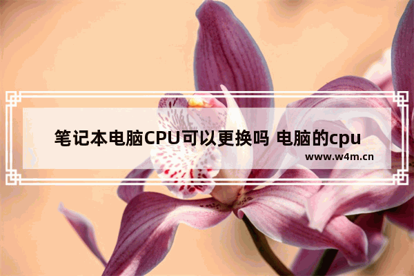 笔记本电脑CPU可以更换吗 电脑的cpu能换吗