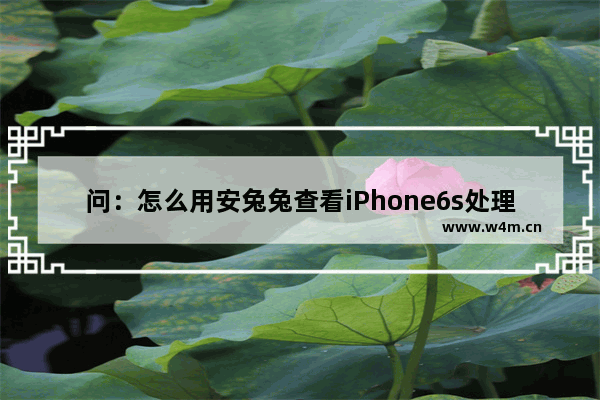 问：怎么用安兔兔查看iPhone6s处理器是三星的还是台积电的 苹果6s芯片查询方法