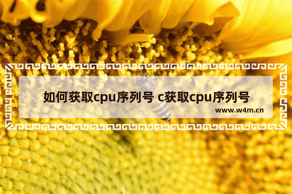 如何获取cpu序列号 c获取cpu序列号