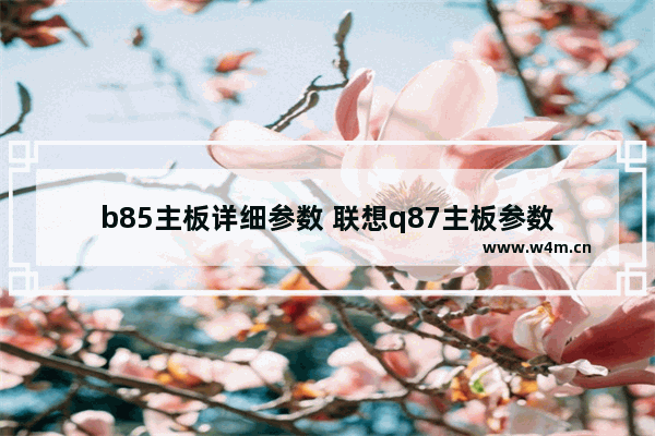 b85主板详细参数 联想q87主板参数