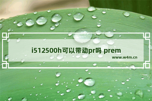 i512500h可以带动pr吗 premiere cpu