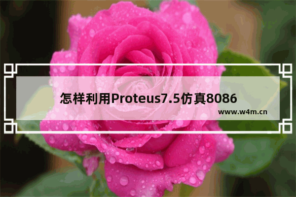 怎样利用Proteus7.5仿真8086CPU ansys更适合哪个cpu