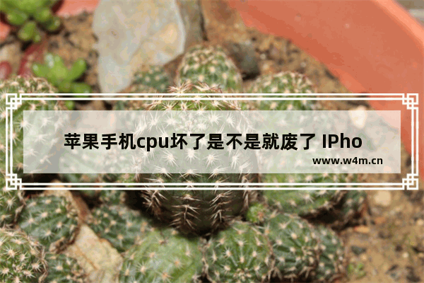 苹果手机cpu坏了是不是就废了 IPhone八的处理器能换到iPhone六上吗