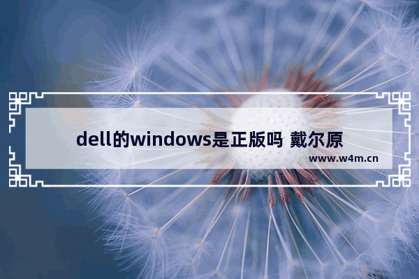 dell的windows是正版吗 戴尔原装品牌电脑