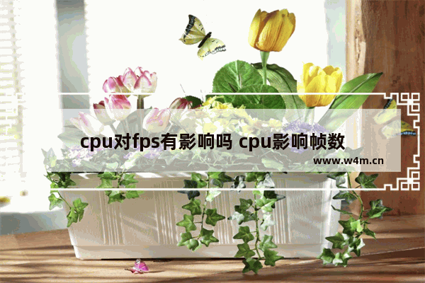 cpu对fps有影响吗 cpu影响帧数