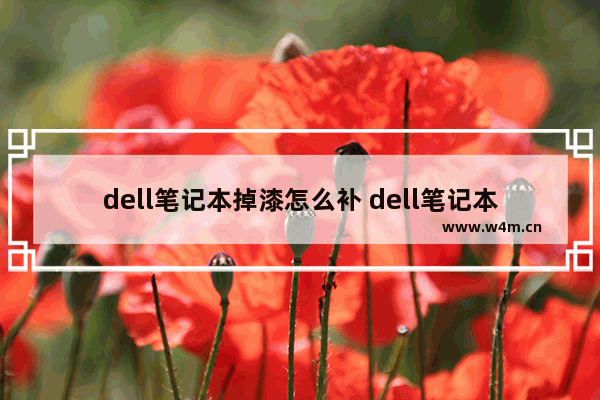 dell笔记本掉漆怎么补 dell笔记本电脑贴