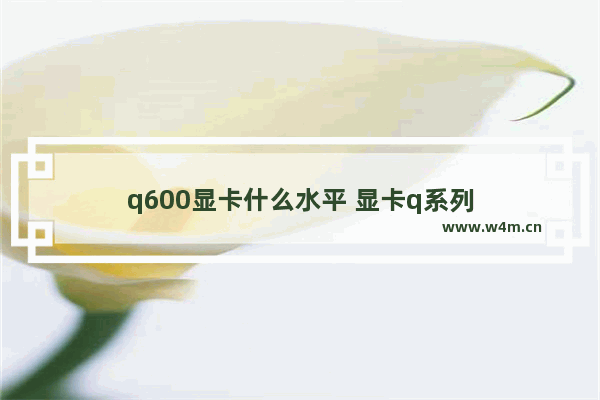 q600显卡什么水平 显卡q系列