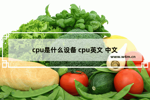 cpu是什么设备 cpu英文 中文