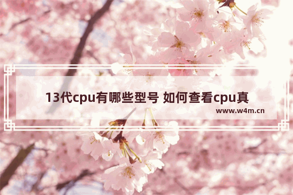 13代cpu有哪些型号 如何查看cpu真实型号