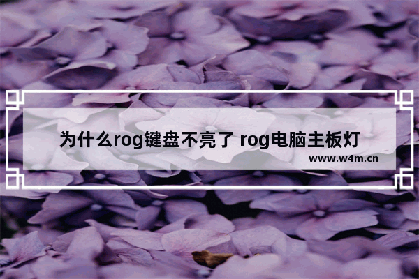 为什么rog键盘不亮了 rog电脑主板灯光不亮