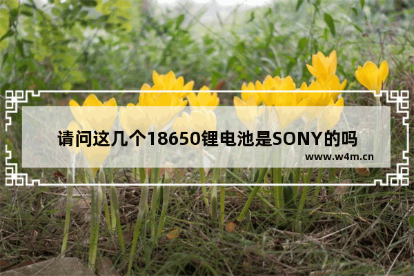 请问这几个18650锂电池是SONY的吗 是06年SONY召回的问题电池吗 这几个电池生产日期是多少 松下固态硬盘召回