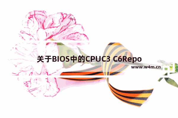 关于BIOS中的CPUC3 C6Report项具体是什么意思 关于BIOS中的CPU C3 C6 Report项具体是什么意思