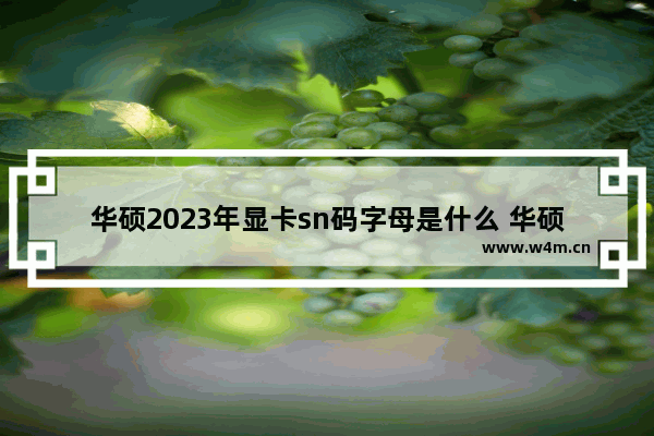 华硕2023年显卡sn码字母是什么 华硕显卡吗