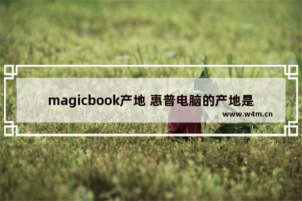 magicbook产地 惠普电脑的产地是哪