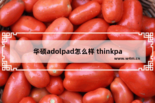 华硕adolpad怎么样 thinkpad和华硕笔记本哪个更好