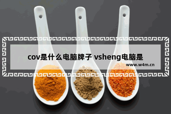 cov是什么电脑牌子 vsheng电脑是什么品牌