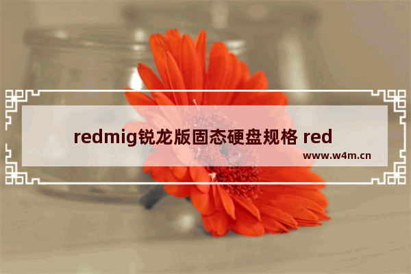 redmig锐龙版固态硬盘规格 red one固态硬盘