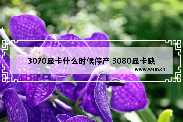 3070显卡什么时候停产 3080显卡缺货