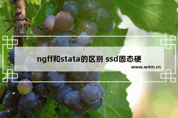 ngff和stata的区别 ssd固态硬盘ngff