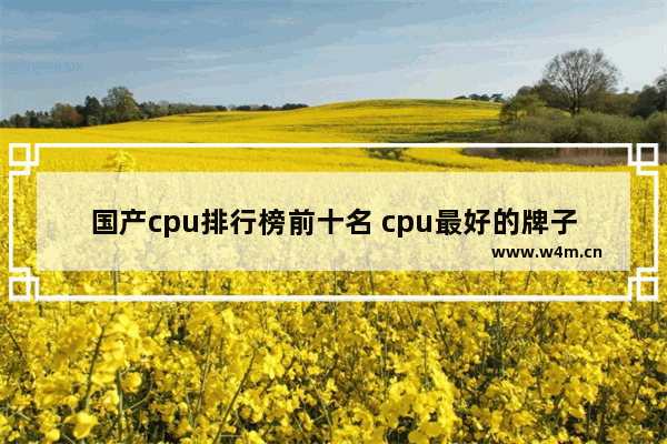 国产cpu排行榜前十名 cpu最好的牌子的