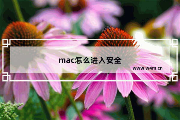 mac怎么进入安全