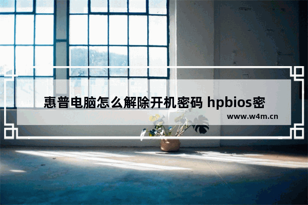 惠普电脑怎么解除开机密码 hpbios密码清除方法