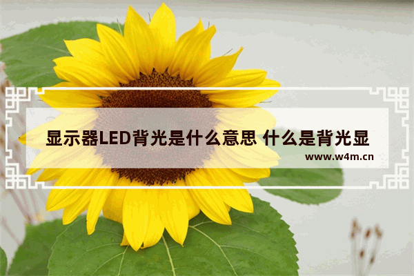 显示器LED背光是什么意思 什么是背光显示器