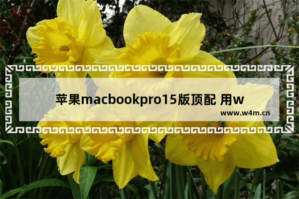 苹果macbookpro15版顶配 用windows系统能玩战地1么 笔记本电脑玩战地1