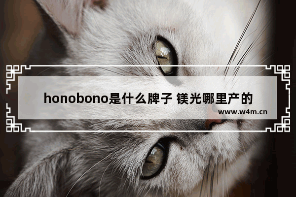 honobono是什么牌子 镁光哪里产的