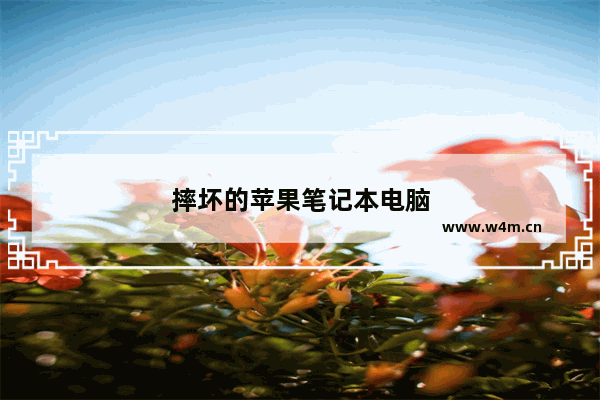 摔坏的苹果笔记本电脑