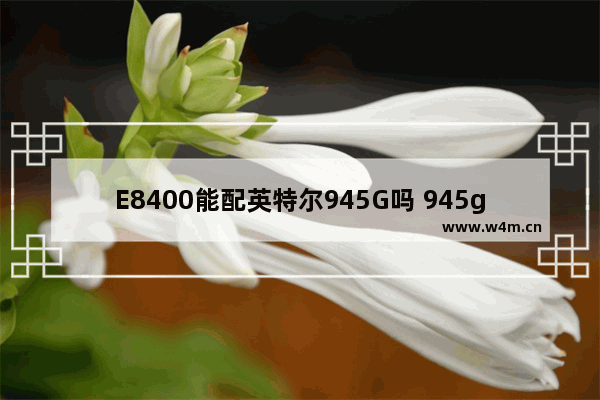 E8400能配英特尔945G吗 945g 支持的cpu