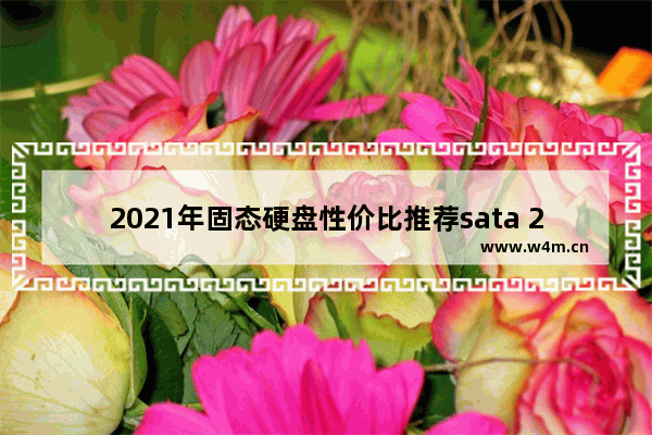 2021年固态硬盘性价比推荐sata 2021 固态硬盘 比较