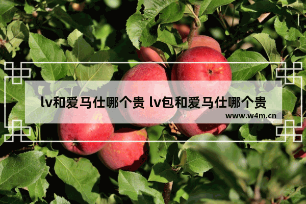 lv和爱马仕哪个贵 lv包和爱马仕哪个贵