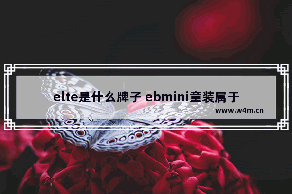 elte是什么牌子 ebmini童装属于什么档次