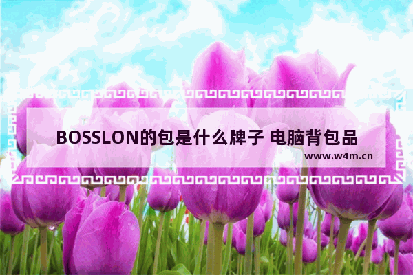 BOSSLON的包是什么牌子 电脑背包品牌排行