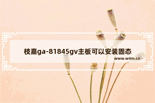 枝嘉ga-81845gv主板可以安装固态硬盘 2003固态硬盘安装