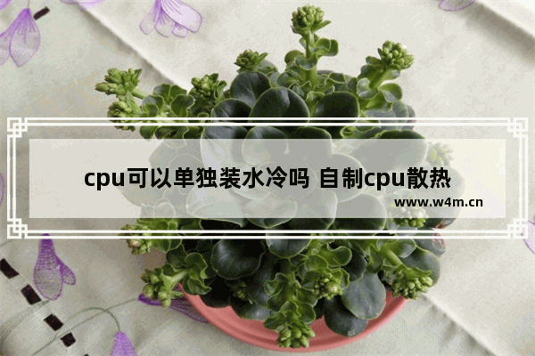 cpu可以单独装水冷吗 自制cpu散热