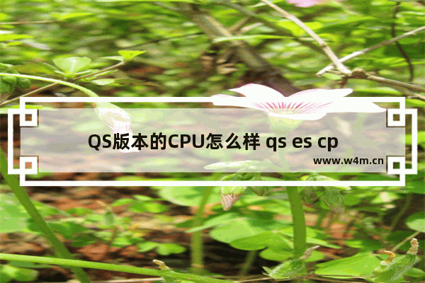 QS版本的CPU怎么样 qs es cpu