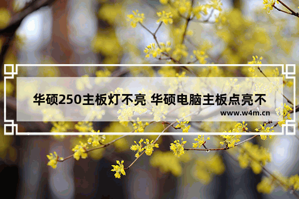 华硕250主板灯不亮 华硕电脑主板点亮不了灯