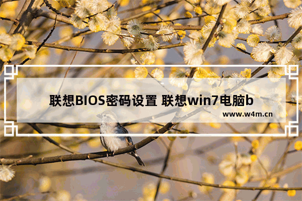 联想BIOS密码设置 联想win7电脑bios密码怎么设置