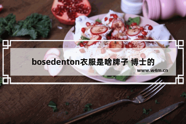 bosedenton衣服是啥牌子 博士的电脑品牌