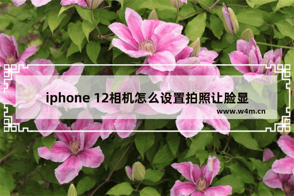 iphone 12相机怎么设置拍照让脸显小 显示器便宜相机