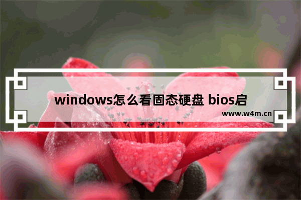 windows怎么看固态硬盘 bios启动项怎么看固态硬盘