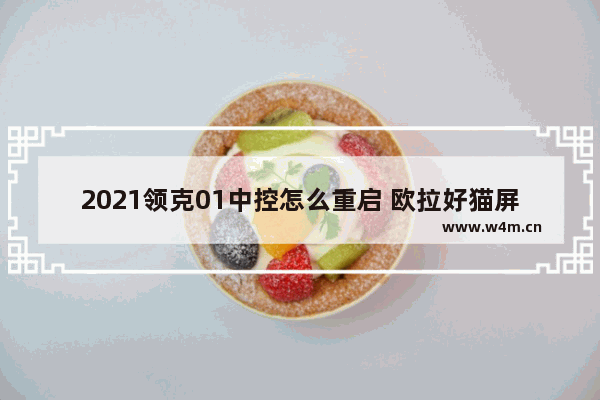 2021领克01中控怎么重启 欧拉好猫屏幕如何重启