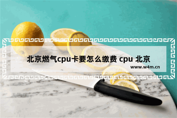 北京燃气cpu卡要怎么缴费 cpu 北京专柜