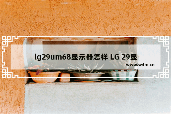 lg29um68显示器怎样 LG 29显示器